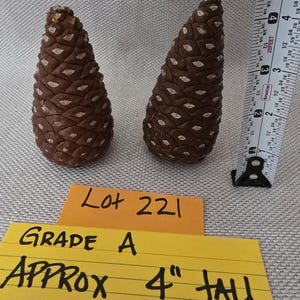 May include: Two brown pine cones with a textured, scaled surface. A white measuring tape is positioned vertically next to the right pine cone. Two yellow paper notes are present, with the text Lot 221, Grade A, and Approx 4 inches tall.