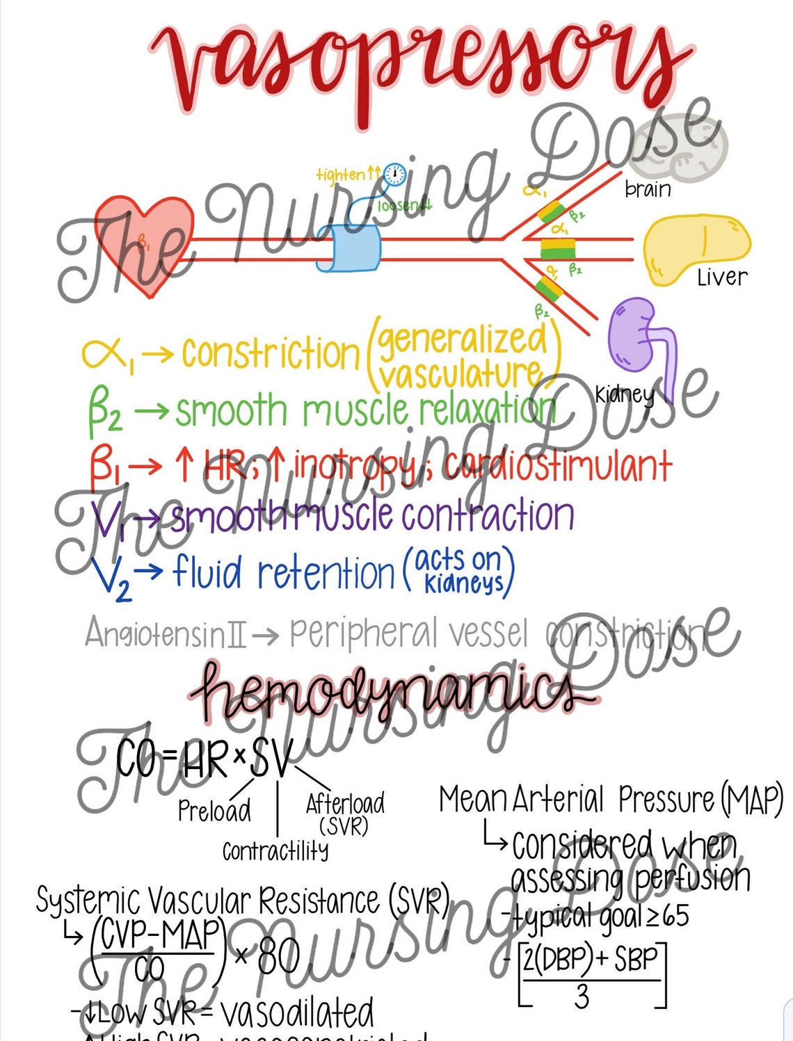 Vasopressor Study Guide - Etsy