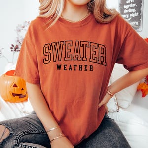 Sweater Weather Sweatshirt, Cozy Sweatshirt, Fall Sweatshirt, Retro Fall Crewneck, Womens Fall Sweater, Cozy Sweater Weather, Fall Season image 7