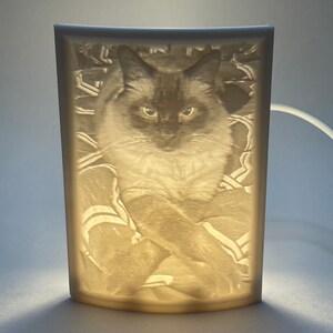 Custom Lithophane with Light