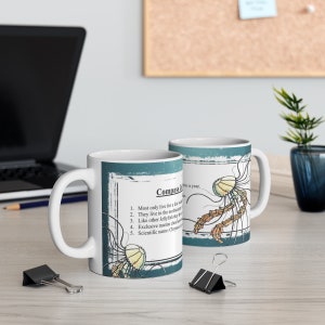 Compass Jellyfish Fun Fact Mug 11 oz.