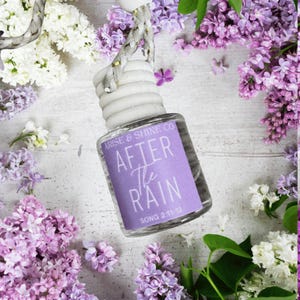 After the Rain Car Diffuser | Lilac Blossom White Birch Fragrance | Christian Gift | Scripture Inspired Car Air Freshener | Faith-Based Gift