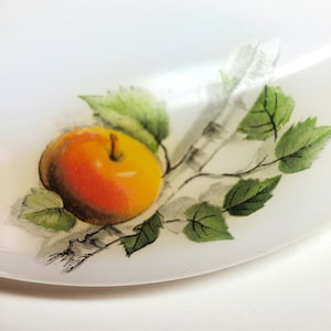 Vintage Arcopal - Fruits De France - Milk Glass Lid with Apple - 6 inch