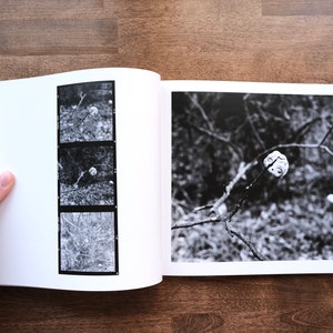 Fallen Things Photo Book image 8