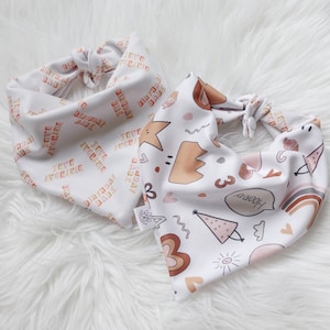 Birthday Babe and Celebration Party, Reversible, Tie and Snap,  Cute Dog Cat Bandana | Aegyopup
