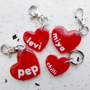 Médaille pour chien en forme de coeur | Cartes d'identité pour animaux de compagnie | Étiquettes en résine | Accessoires pour chats et chiens | Porte-clés | Aegyopup