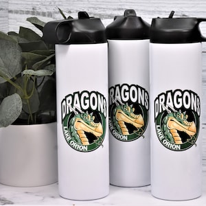 Custom Water Bottle, Personalized to Sport, School, College or University, 20 oz Skinny Water Bottle, Custom Stainless Steel Design