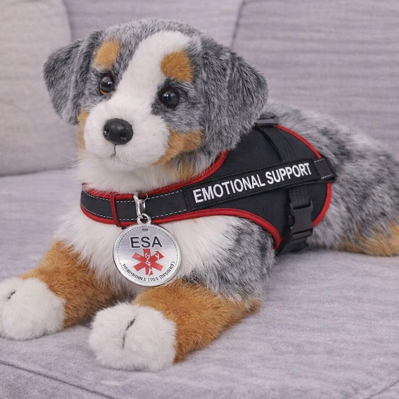 Douglas Essa - Etsy