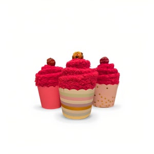 Fuzzy cupcake sock combo (3 pair of socks)