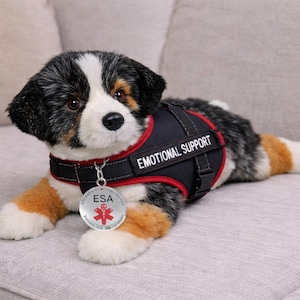 May include: A plush dog toy with black, white, and brown fur, wearing a black vest with "EMOTIONAL SUPPORT" text and a silver ESA tag. The dog is lying on a gray couch.