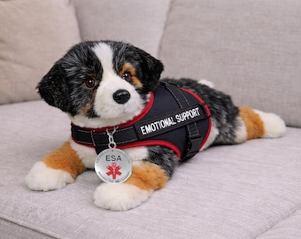 May include: A plush dog toy with black, white, and brown fur, wearing a black vest with "EMOTIONAL SUPPORT" text and a silver ESA tag. The dog is lying on a gray couch.