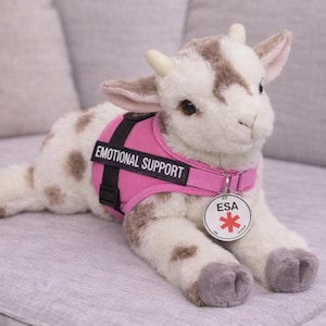 May include: A plush goat toy with white fur and brown spots, wearing a pink vest that says "EMOTIONAL SUPPORT." It has a silver tag with a red star and the letters "ESA." The toy is lying on a gray couch.