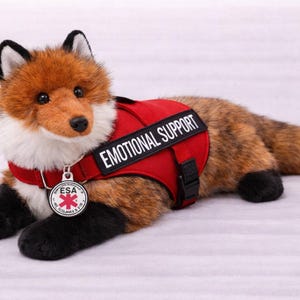 May include: A plush fox toy with brown and white fur, black paws, and a red vest. The vest reads "EMOTIONAL SUPPORT" in white text and has a small ESA tag. The fox is lying down on a light-colored surface.