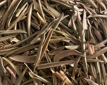 Waraq el zeitoune - feuilles d'olivier - 50g - ورق الزيتون