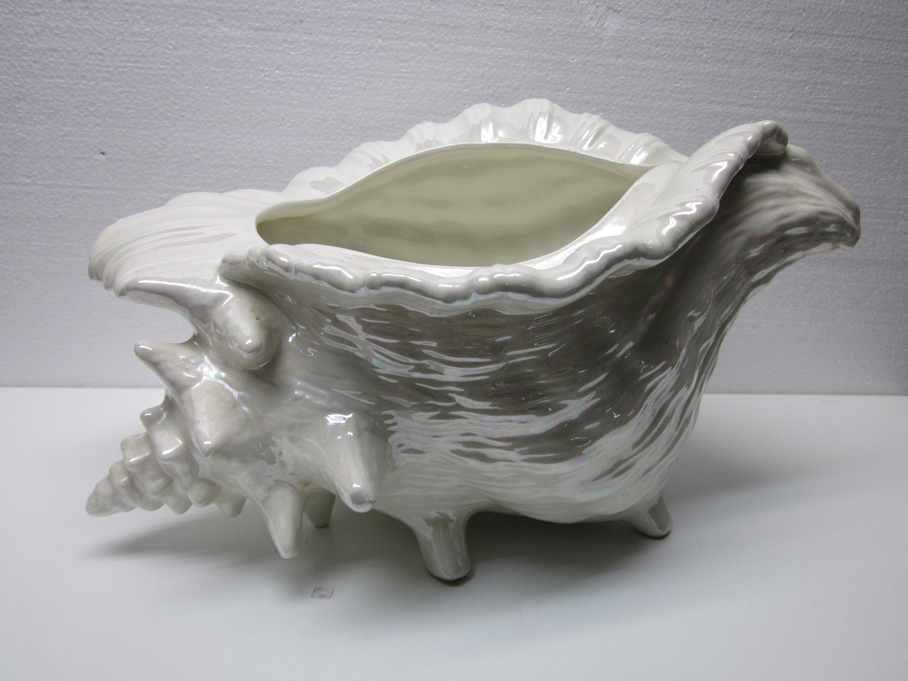 贅沢屋の Vase Conch Glass Shell Pl Shell Transparent Vase Hydroponic Glass Figurine 花瓶 花器