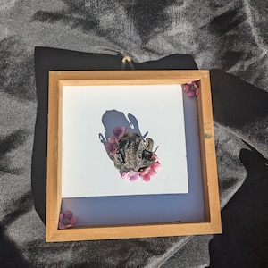 Mummified Toad Display A