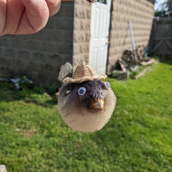 Taxidermy Pufferfish With Hat