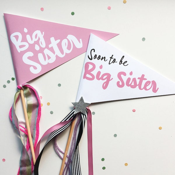 Big Sister Pennant Flags | Soon to Be Big Sister | Big Sister Gift | Sibling Gift | Big Sister Basket | Pregnancy Announcement