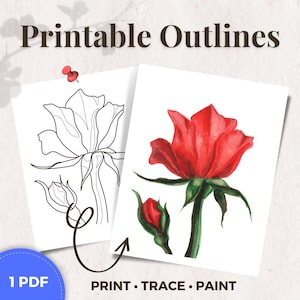 May include: Two white sheets of paper with rose illustrations. One sheet features a black outline of a rose, and the other displays a watercolor painting of a red rose. The text "Printable Outlines" and "Print Trace Paint" are visible.