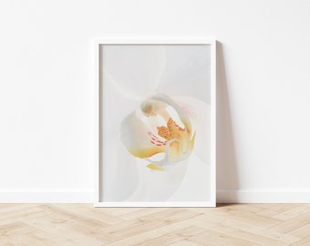 White Flower Print | Floral Wall Art | Wall Decor | Flowers Printable Art | Floral Poster | Flower Wall Decor