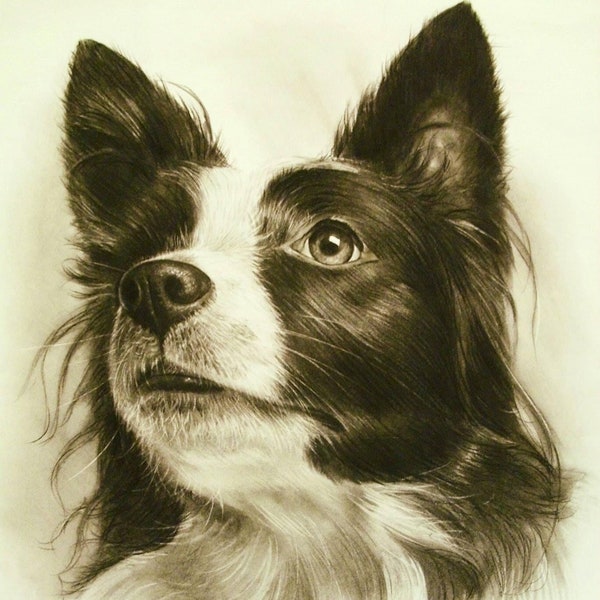 Custom Pet Portraits in Charcoal and Pastels/Animals drawing/Puppy/Cat Art/Handmade/special gift/pet loss/memorial/hand drawing/gift for her