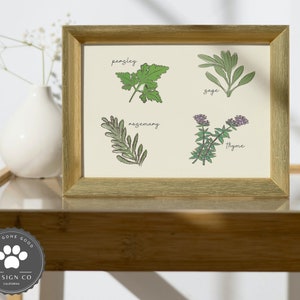 Könnte beinhalten: Ein gerahmter Druck mit Illustrationen von vier Kräutern: Petersilie, Rosmarin, Salbei und Thymian. Jedes Kraut ist mit seinem Namen in handschriftlicher Schrift beschriftet.