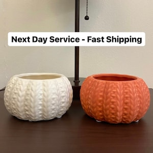 May include: Two ceramic planters shaped like sea urchins. One is white and the other is orange.