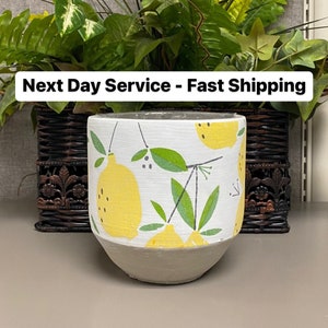 Puede incluir: Una maceta de cerámica blanca y gris con un diseño de limón pintado a mano. La maceta está llena de plantas verdes y se encuentra sobre una superficie neutra. Se muestra el texto "Next Day Service - Fast Shipping".