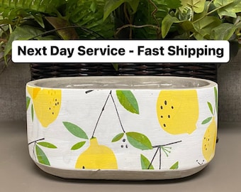 RECTANGULAR lemon cement planter, flower pot bowl w drainage hole, loose citrus fruits w leaves home decor pottery, kitchen table decoration