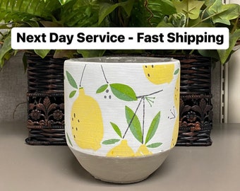 CYLINDER lemon cement planter, flower pot bowl w/ drainage hole, loose citrus fruits w/ leaves home decor pottery, kitchen table decoration