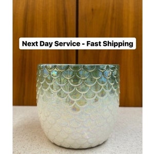 May include: A pearlescent white and green ceramic pot with a scale pattern. The pot has a rounded shape and a glossy finish. The text "Next Day Service - Fast Shipping" is displayed above the pot.