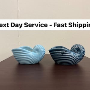 May include: Two ceramic nautilus shell-shaped bowls. One is light blue, the other is dark blue. The bowls have a spiral design and are placed on a dark brown surface. The bowls are decorative.