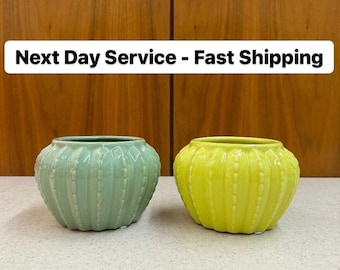 Small green cactus ceramic pot, round cacti planter, plant vase, kitchen & home decor, table centerpiece, pencil jar, Latin/Hispanic gifts