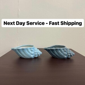 May include: Two ceramic seashell planters, one light blue and one dark blue, on a dark brown wooden surface.  Next Day Service - Fast Shipping.