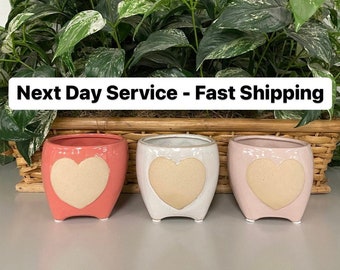 Valentine’s Day double-sided heart front ceramic planter, color flower pot holder gifts, love home decor, special wedding anniversary ideas