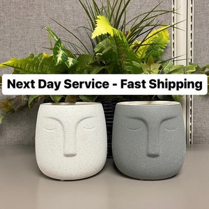 May include: Two face-shaped planters, one speckled white and the other gray, sit side-by-side. The planters have closed eyes and a simple nose. Green plants and foliage are in the background. The text "Next Day Service - Fast Shipping" is at the top.