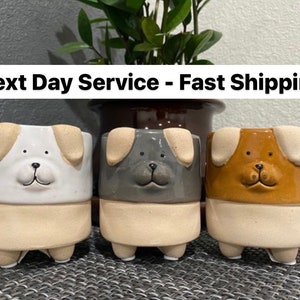 May include: Three ceramic dog planter pots with white, gray, and brown glaze. Each pot has a dog face with brown eyes and a black nose. The pots have four legs and are sitting on a gray surface.