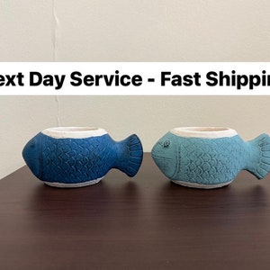 May include: Two ceramic fish planters, one blue and one light blue, with white rims. The planters are on a dark brown surface.