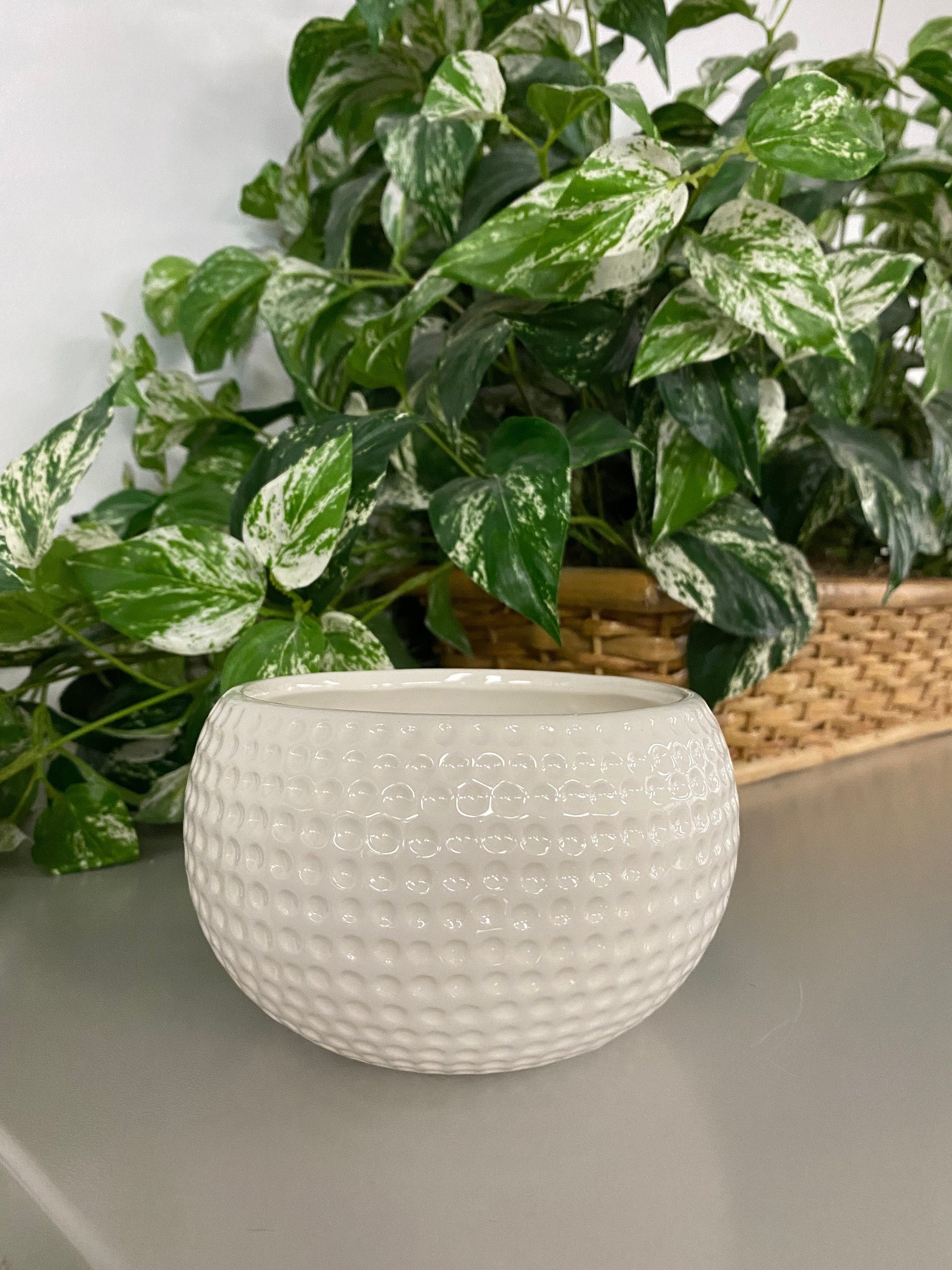 Flat Golf Ball Ceramic Planter, Round White Display Pot, Home
