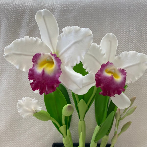 Handmade Large White Cattleya Orchid