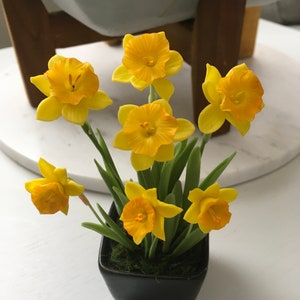 Handmade polymer clay daffodils