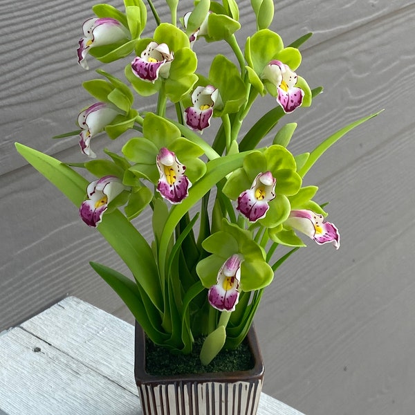 Handmade Polymer Clay  Green Cymbidium Orchids