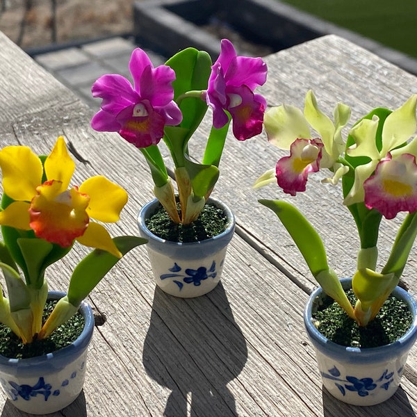 Handmade mini multicolored clay Cattleya Orchid (set of 3)