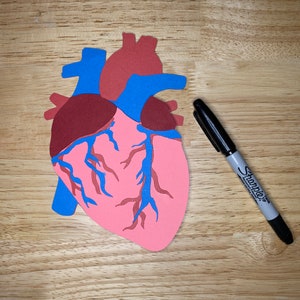 Tarjeta de San Valentín, SVG, Plantilla de tarjeta de corazón, Archivo de corte, Anatomía