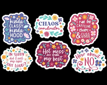 Funny sarcastic sticker pack, funny quote stickers, Funny Jokes, water bottles Coworker Gift