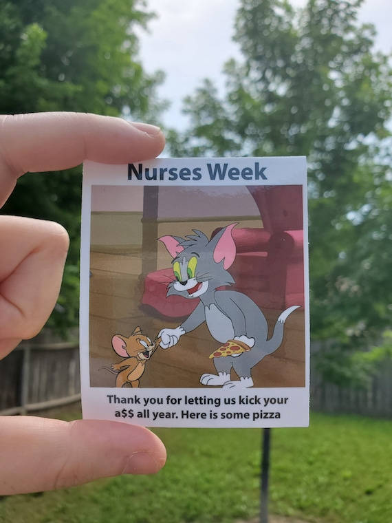 nursing student cat meme