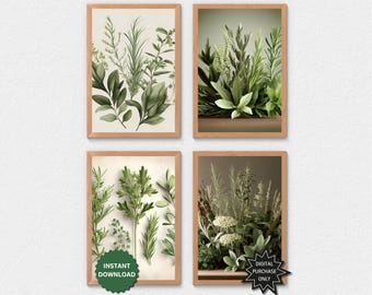 Herb Wall Art Set of 4 Kitchen Botanical Prints Farmhouse Decor Download