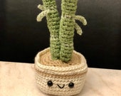 Lucky Bamboo