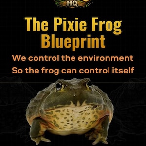 Guía de cuidado de la rana Pixie (PDF). Sistema de montaje, alimentación y hábitat para la rana toro africana.