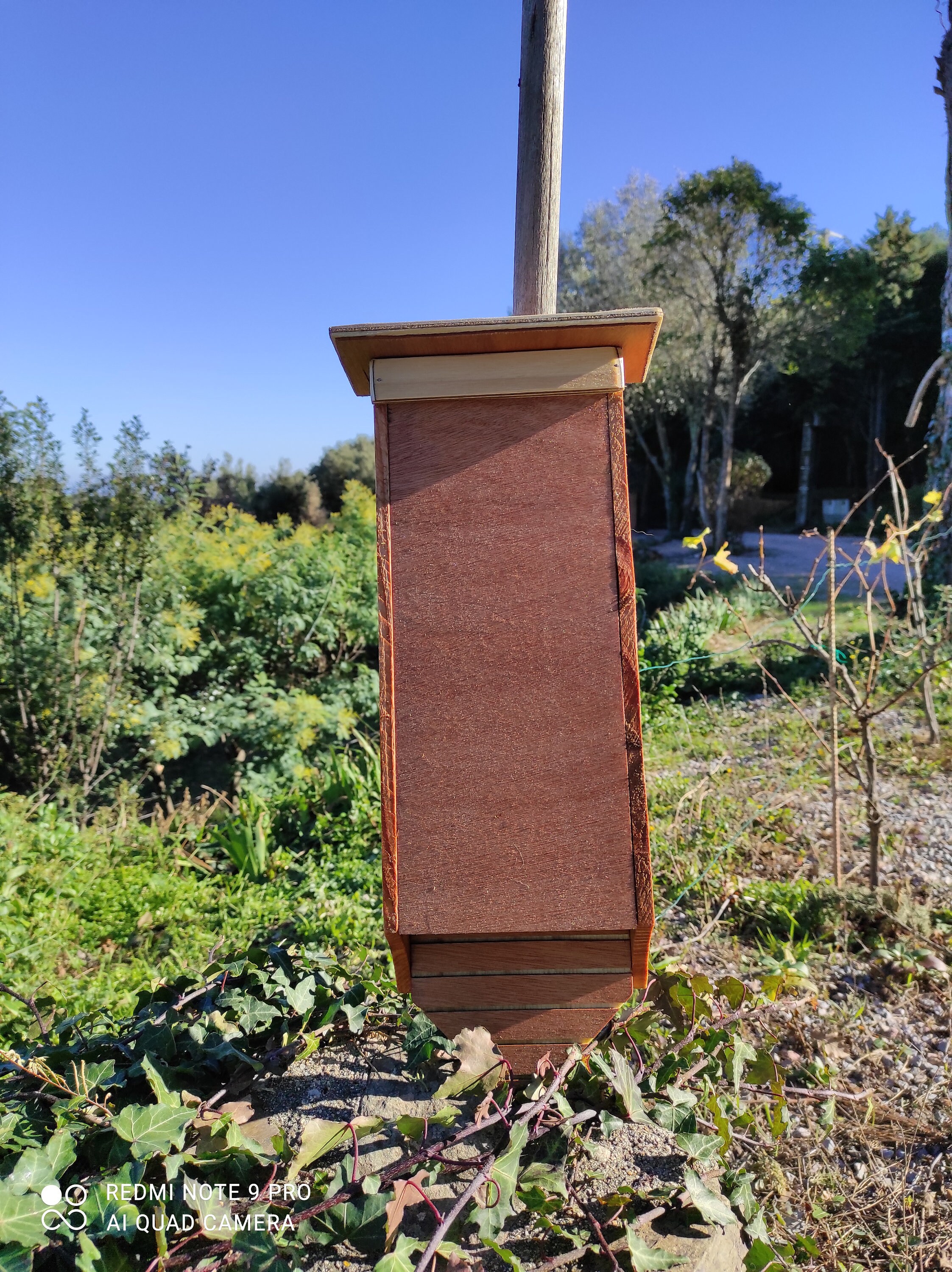 Gîte à Chauves-Souris